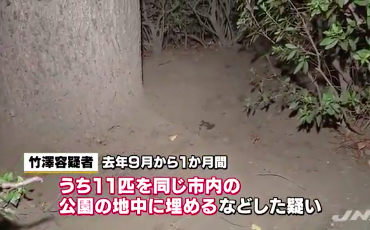 動物虐待