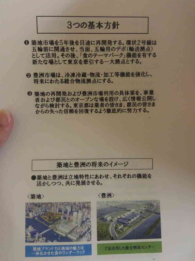 豊洲市場移転問題