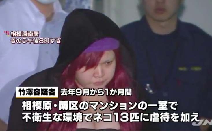 竹澤恵利香