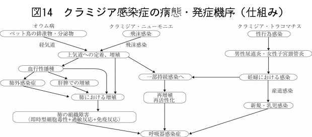 オウム病図